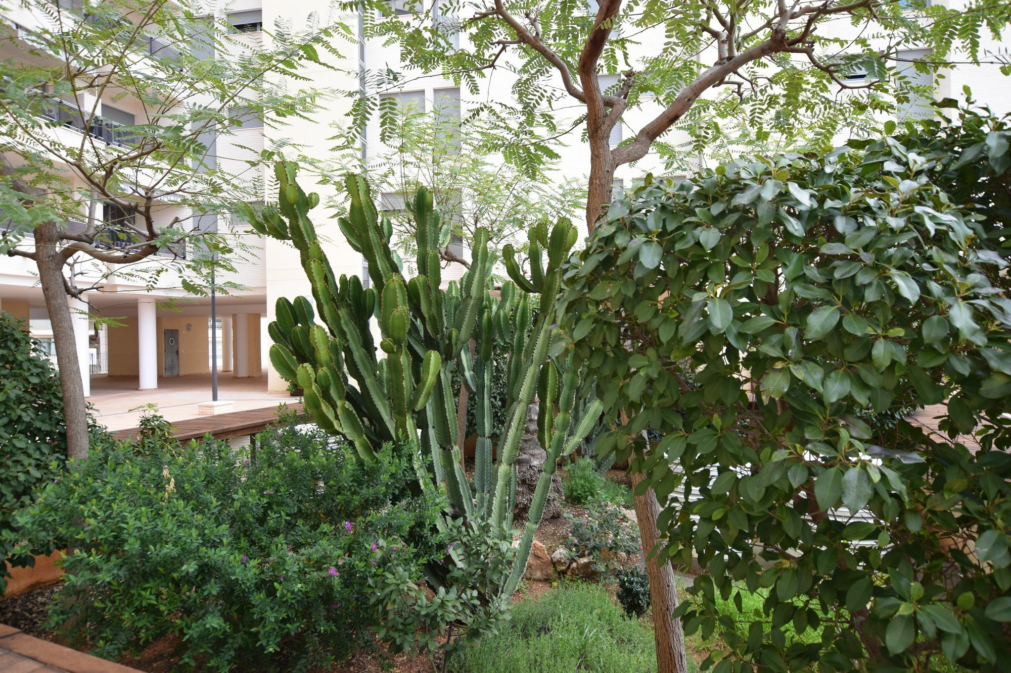 קלפה Plaza Mayor 2 Bedroom Apartment מראה חיצוני תמונה
